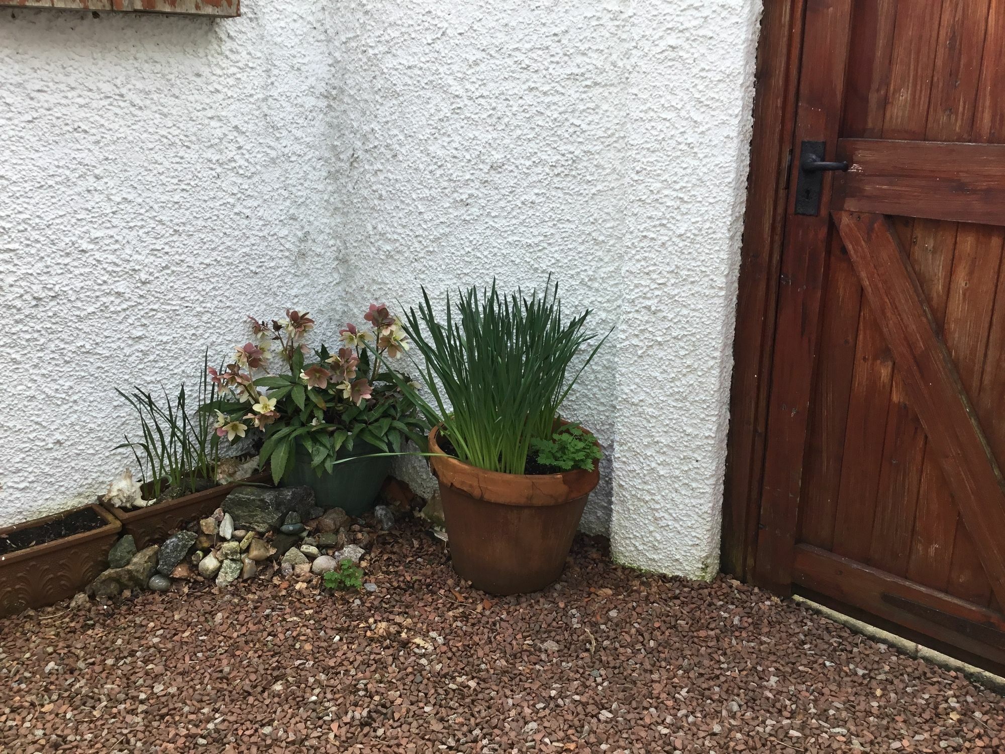 Ingleneuk Bed And Breakfast Edinburg Exteriör bild